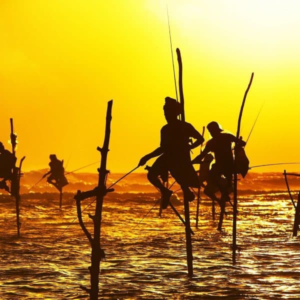 Luxury Sri Lanka Holidays silhoettes in water at sunset